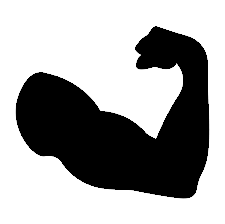 Lelystad autorijschool almere kracht 2